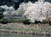 Voyage sur-mesure, Tottori & Tottori Sakyu